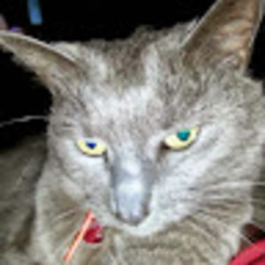 Meet your Posher, Robyn